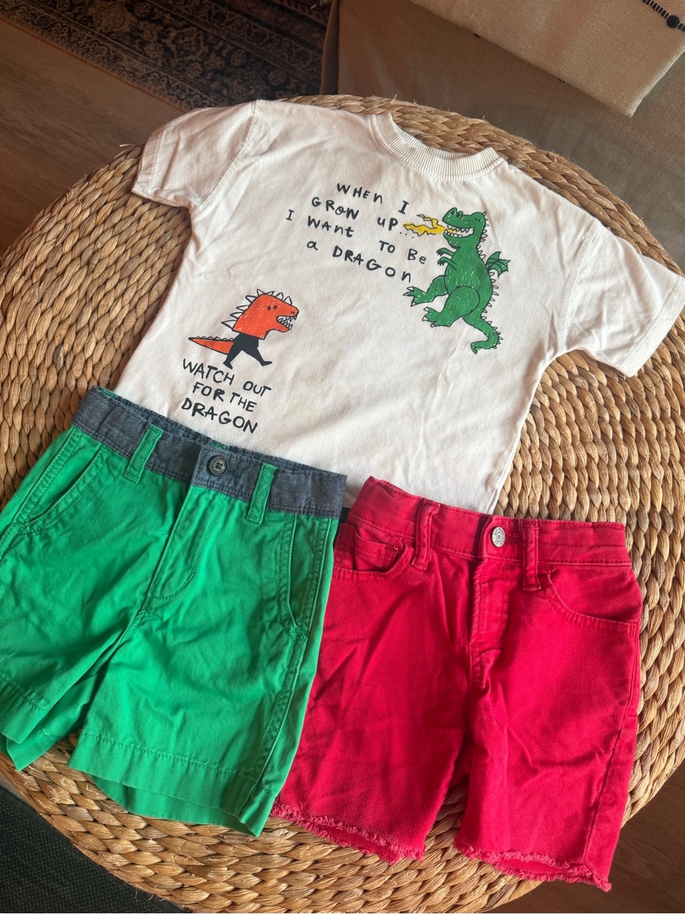 Zara Tee and Gap Shorts Bundle